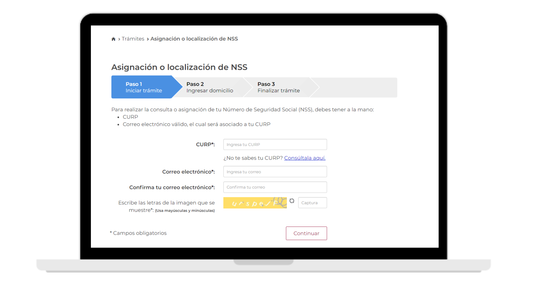Como obtener mi NSS (2)