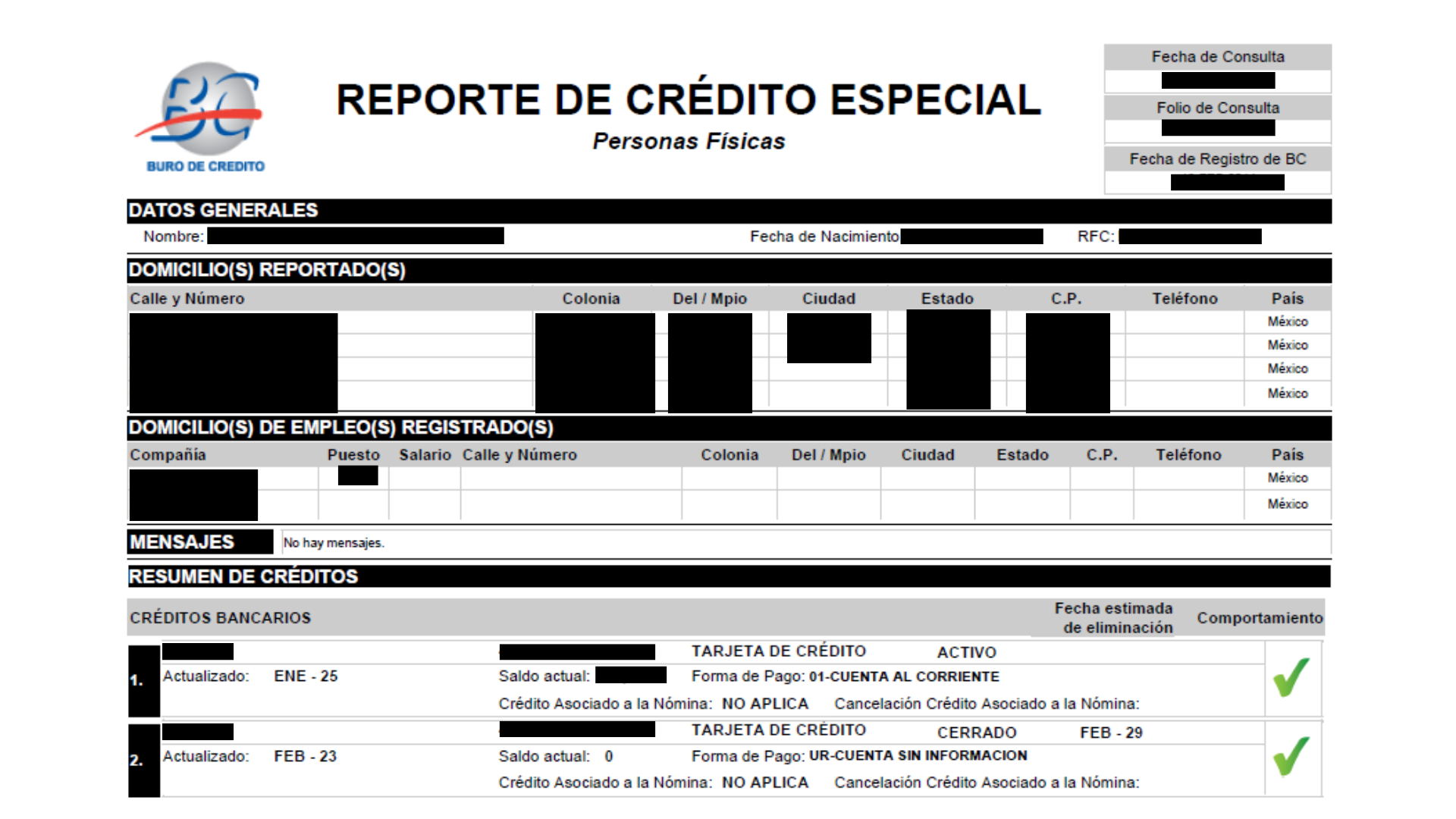 Reporte de Crédito Especial Buró de Crédito