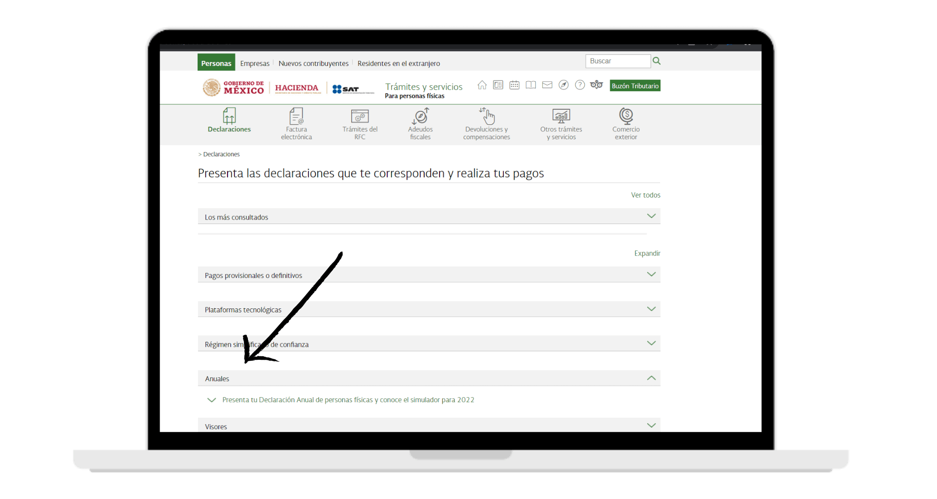Declaracion anual proceso en linea (2)
