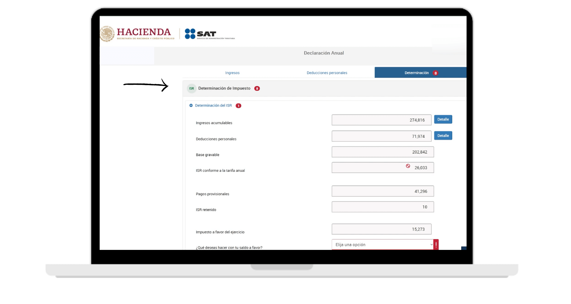 Declaracion anual proceso en linea (6)