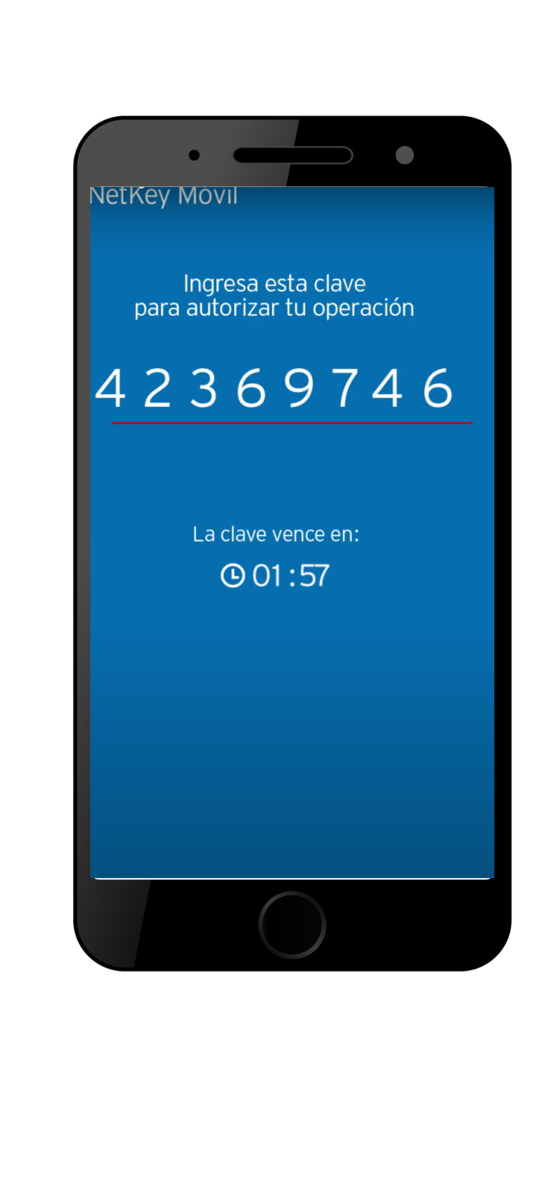 estado de cuenta Banamex pdf
