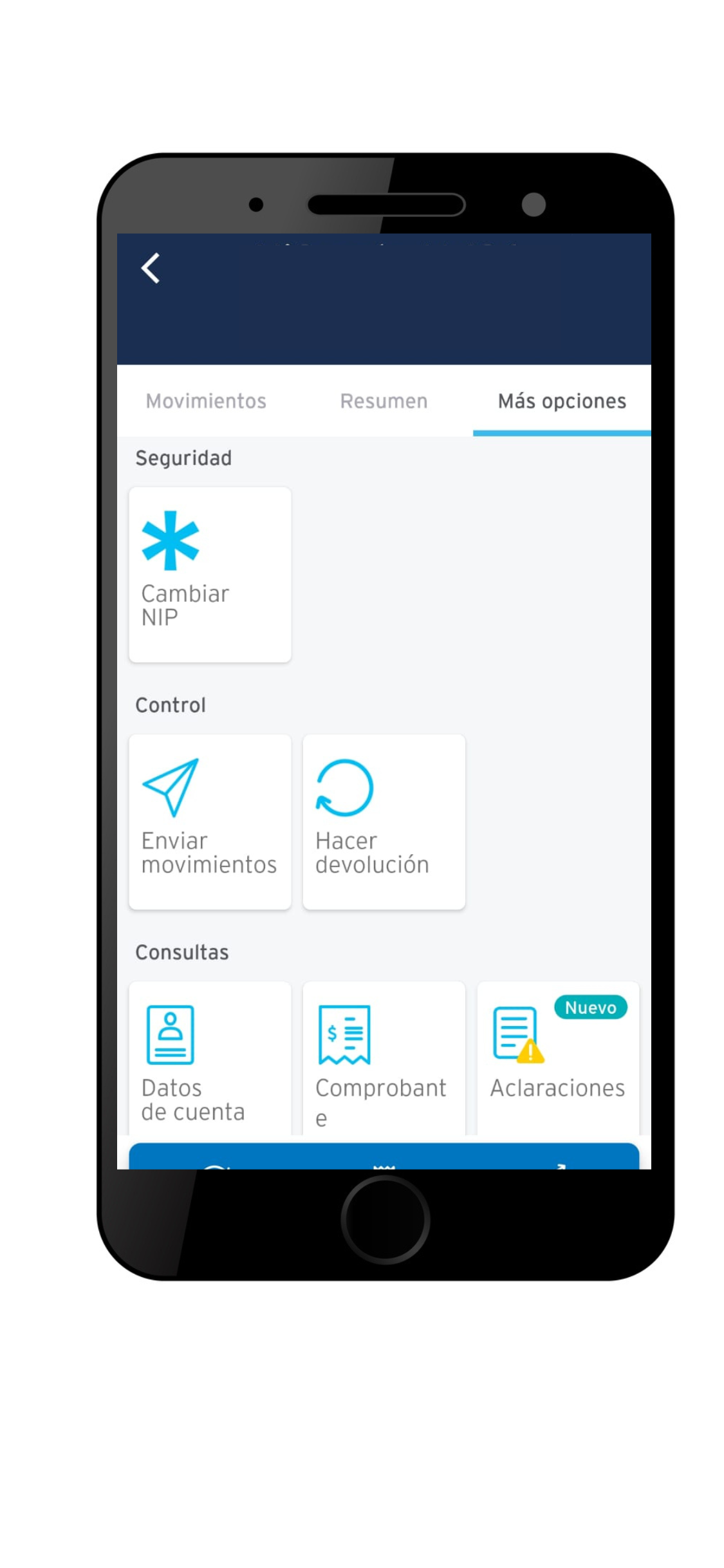 Estado de cuenta Banamex  (4)