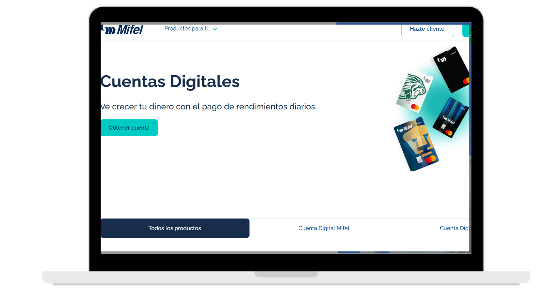 Formato computadora laptop (6)