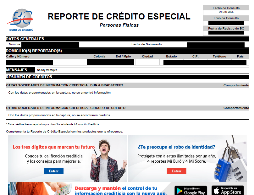 Reporte de Crédito Especial Ale (1)