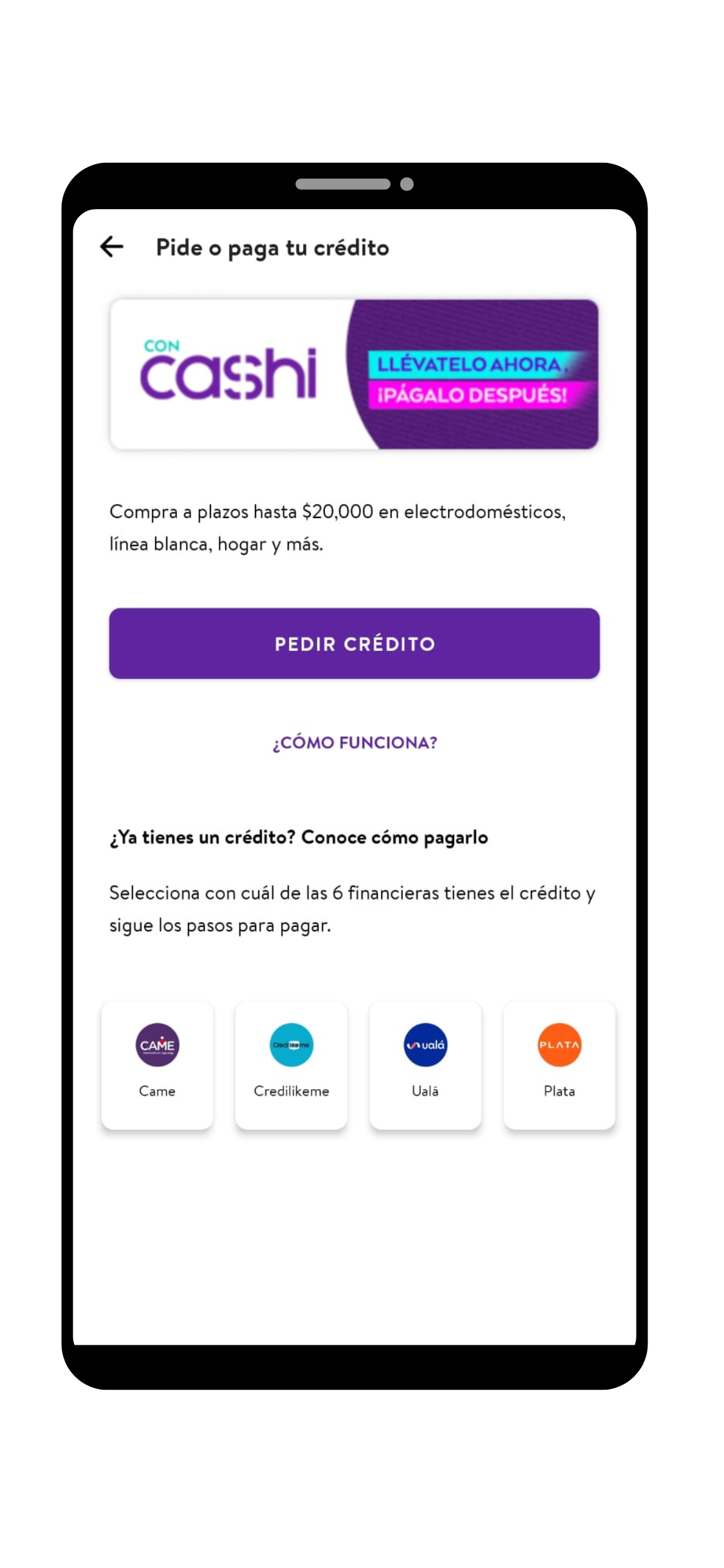 Cashi bodega aurrera