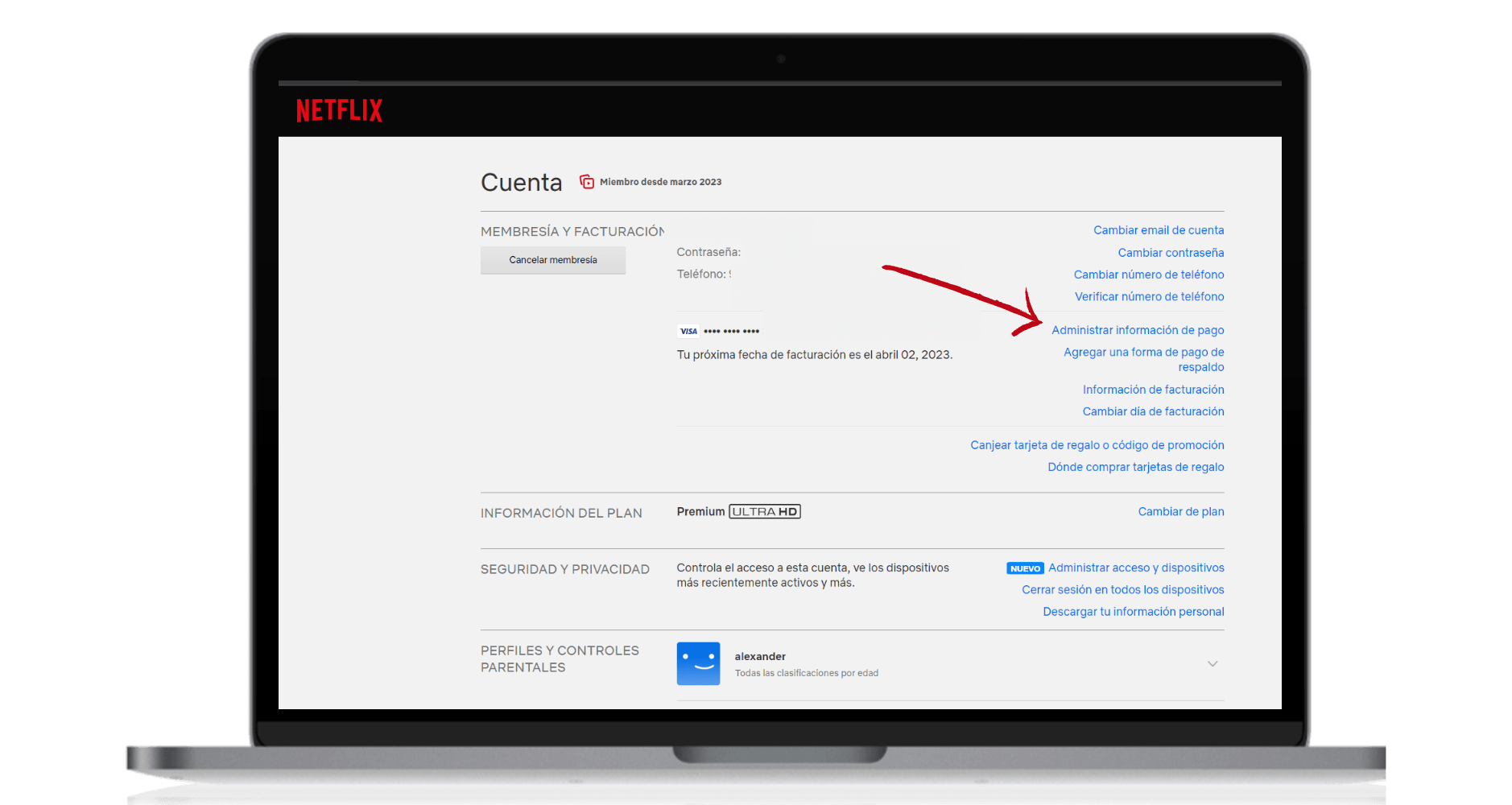 netflix pago mensual procesos  (1)