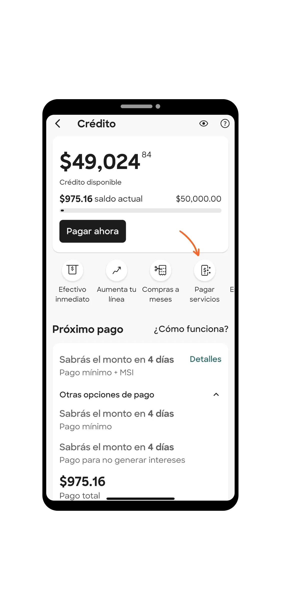 Tarjeta Klar Platino - Pagar servicios