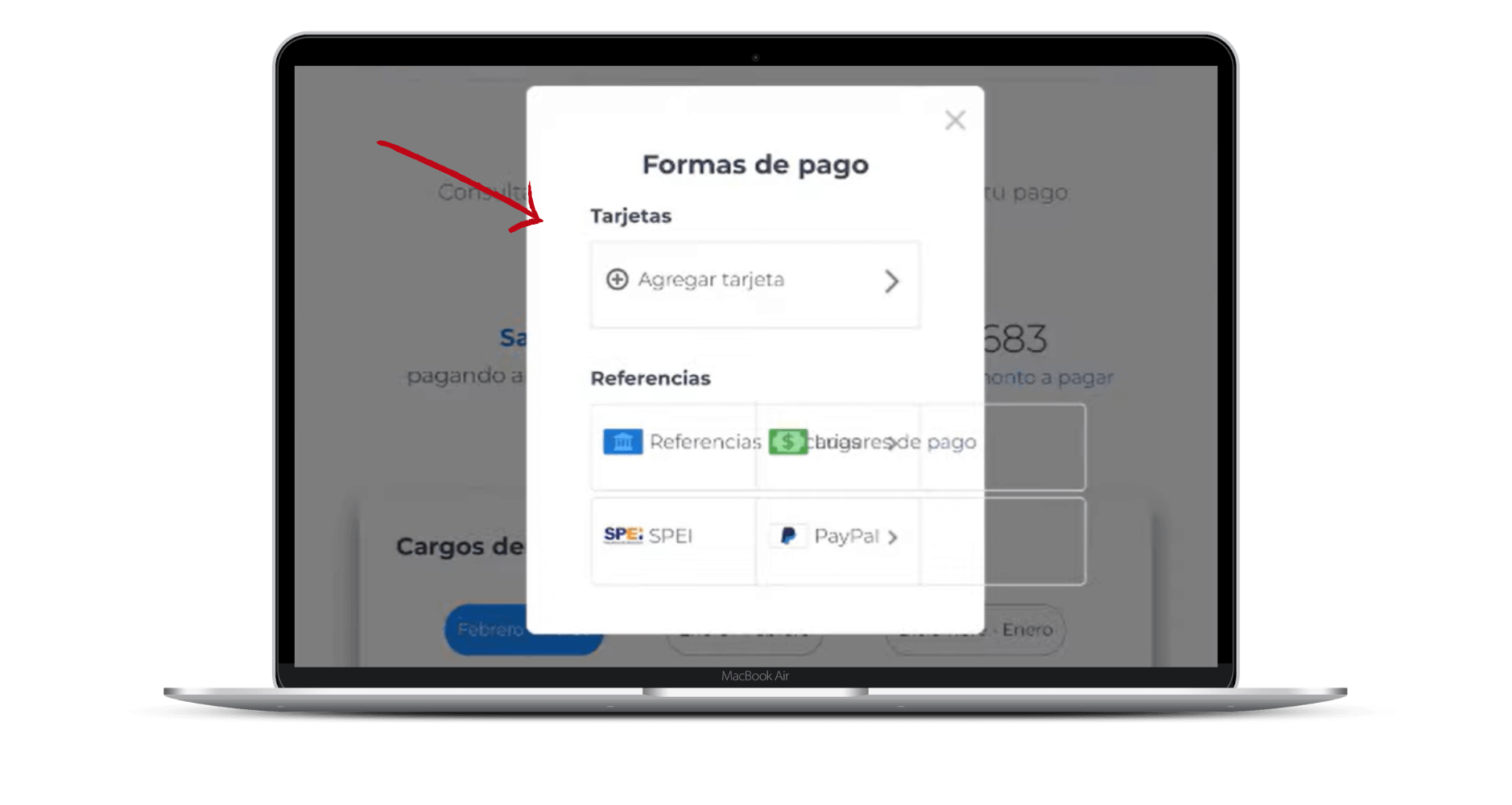 como pagar totalplay (3)