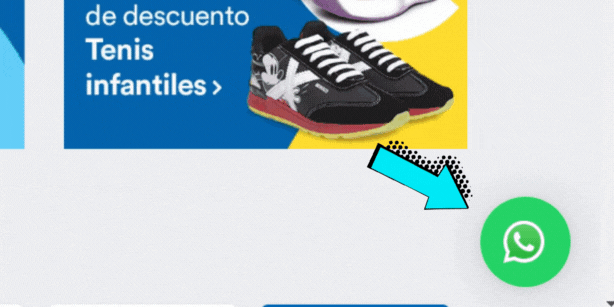 como saber cuanto debo en coppel