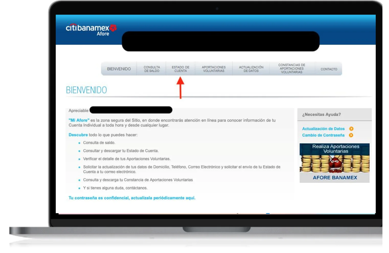 sitio web de afore banamex www.aforebanamex.com.mx