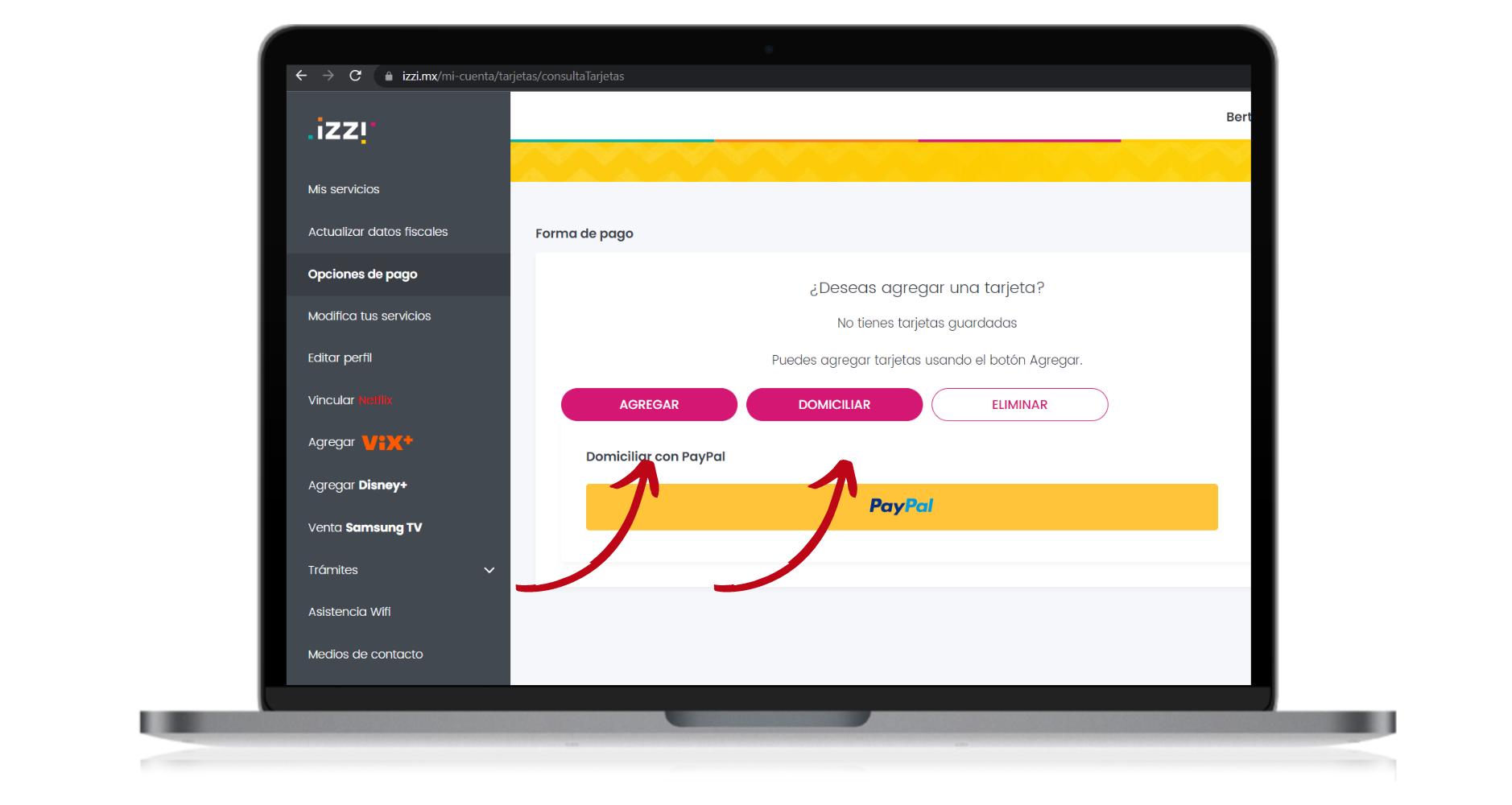 donde pagar izzi. En linea (3)
