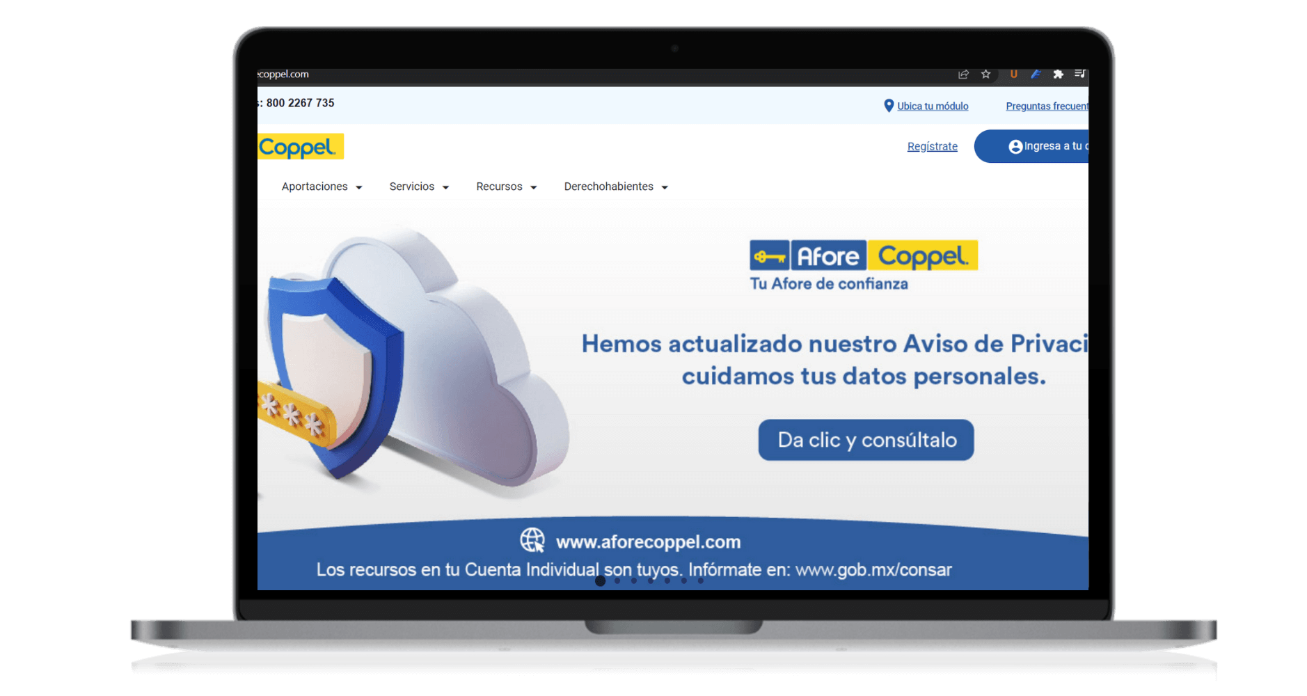 estado de cuenta afore coppel  (1)