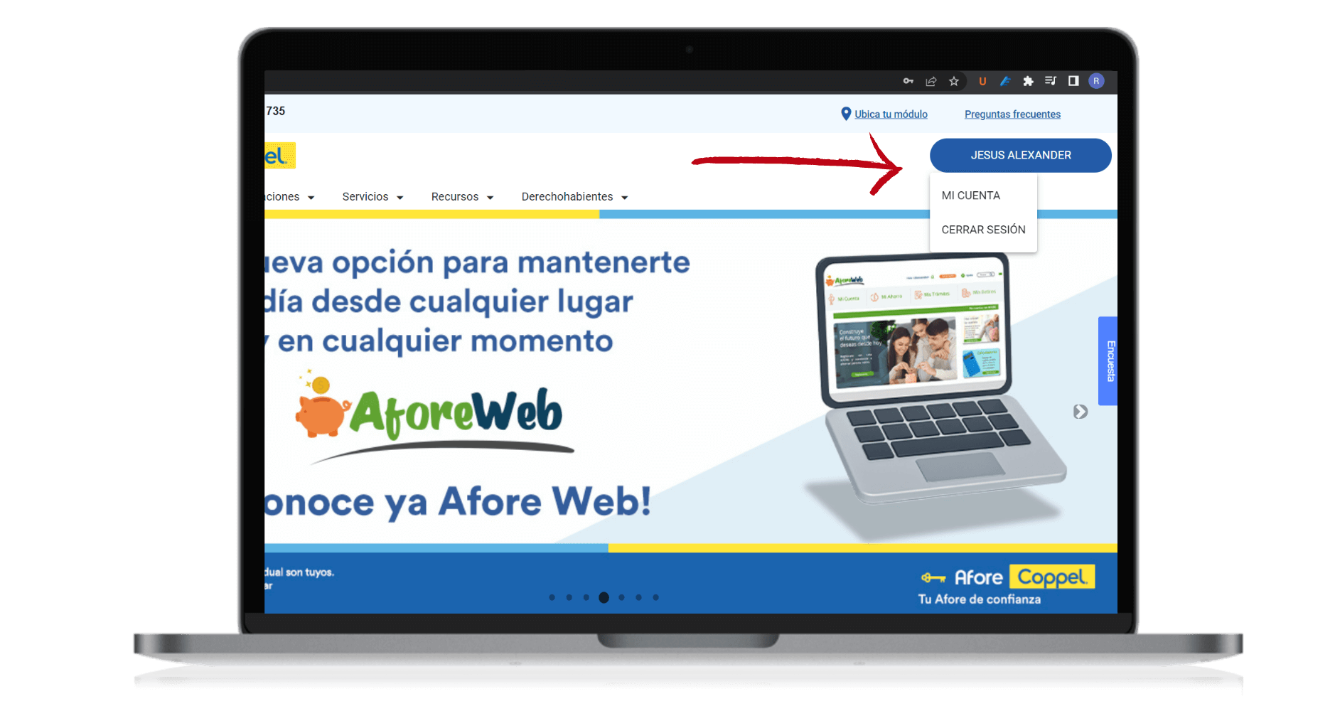 estado de cuenta afore coppel  (4)