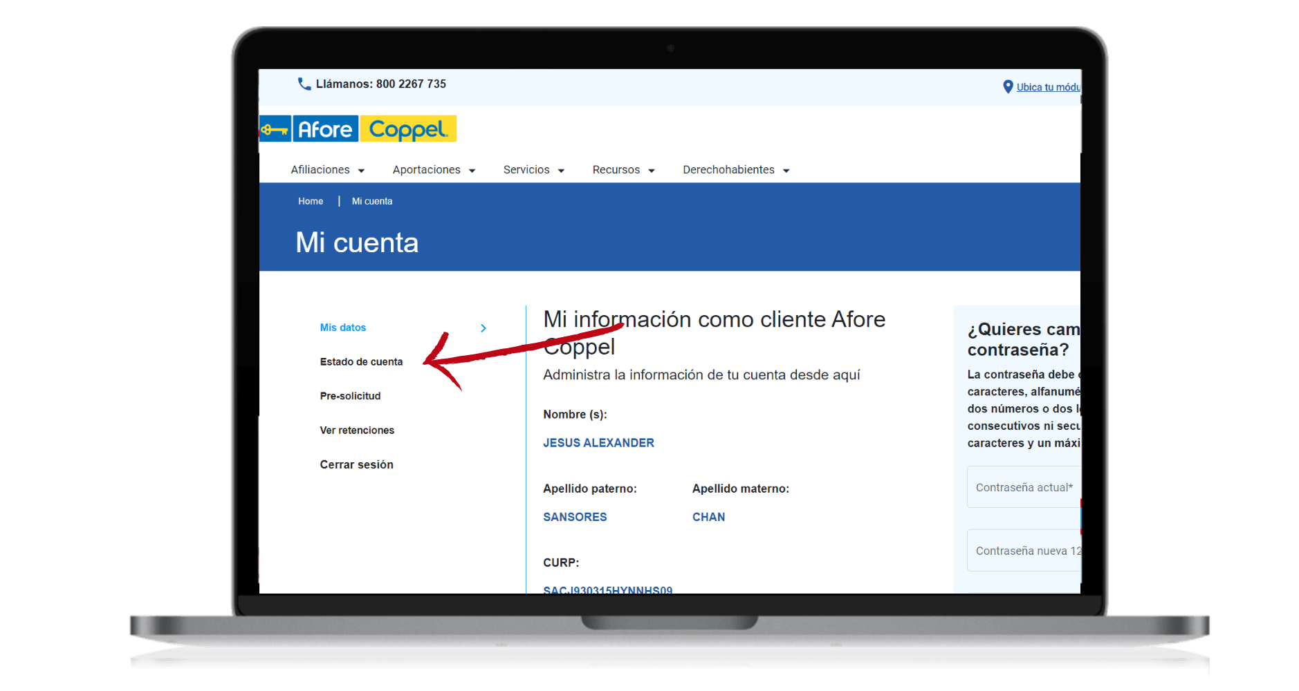 estado de cuenta afore coppel  (5)