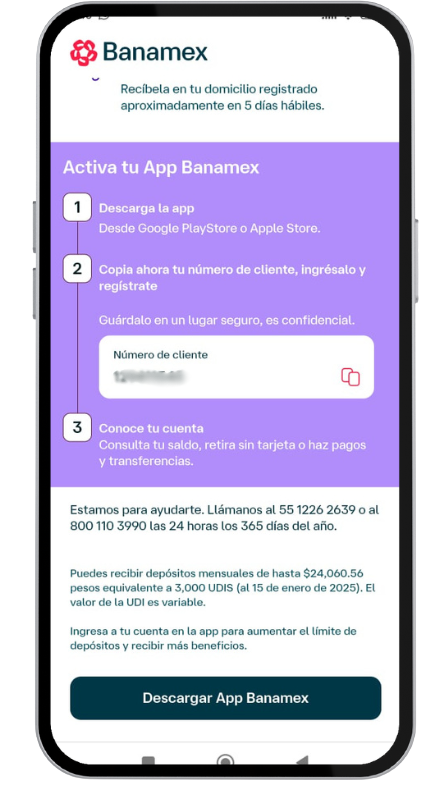 formato celular  (5)