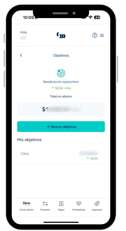 formato celular  (9)