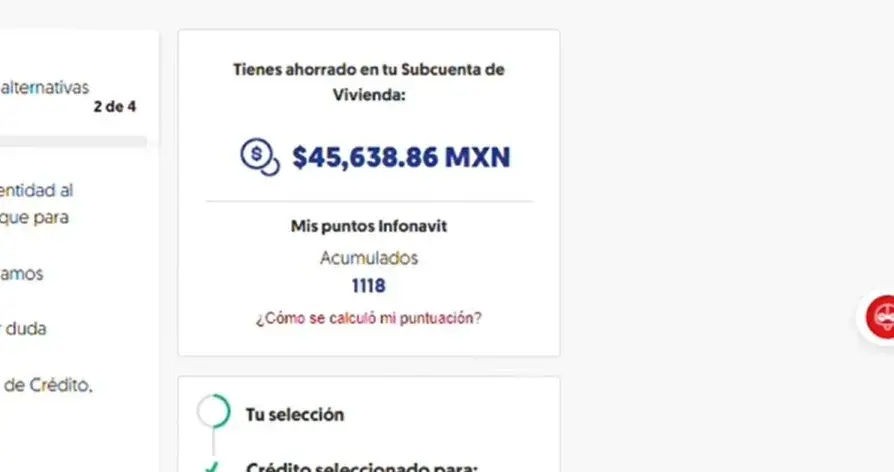 imagen del sitio web donde aparecen los Puntos Infonavit