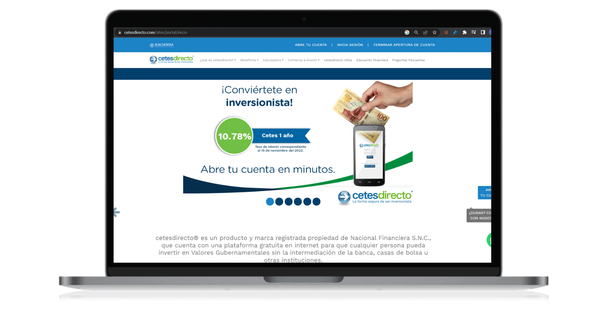 que son los cetes (2)