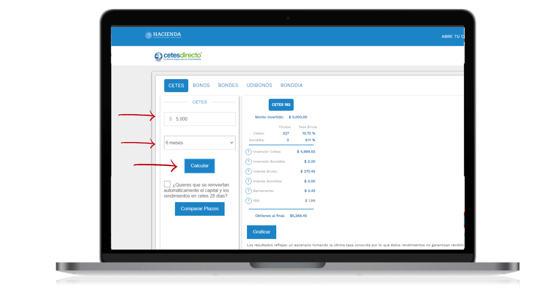 que son los cetes (3)