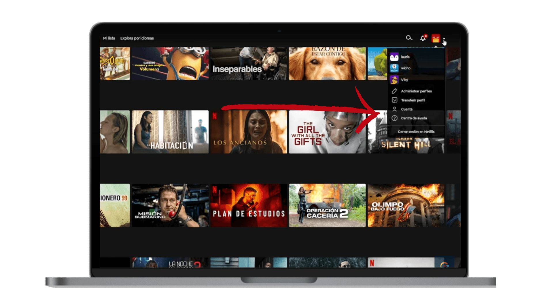 pago netflix mensual