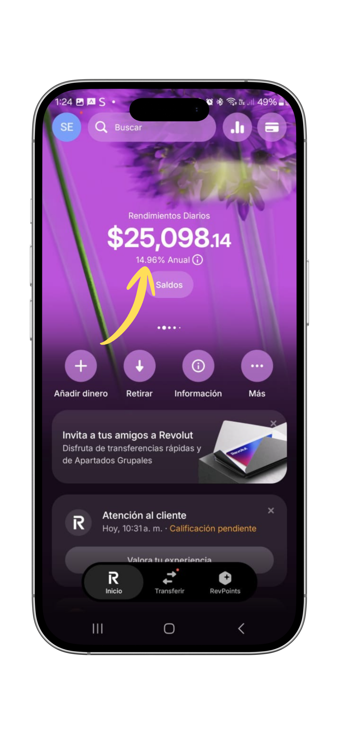 rendimiento ponderado cuenta revolut