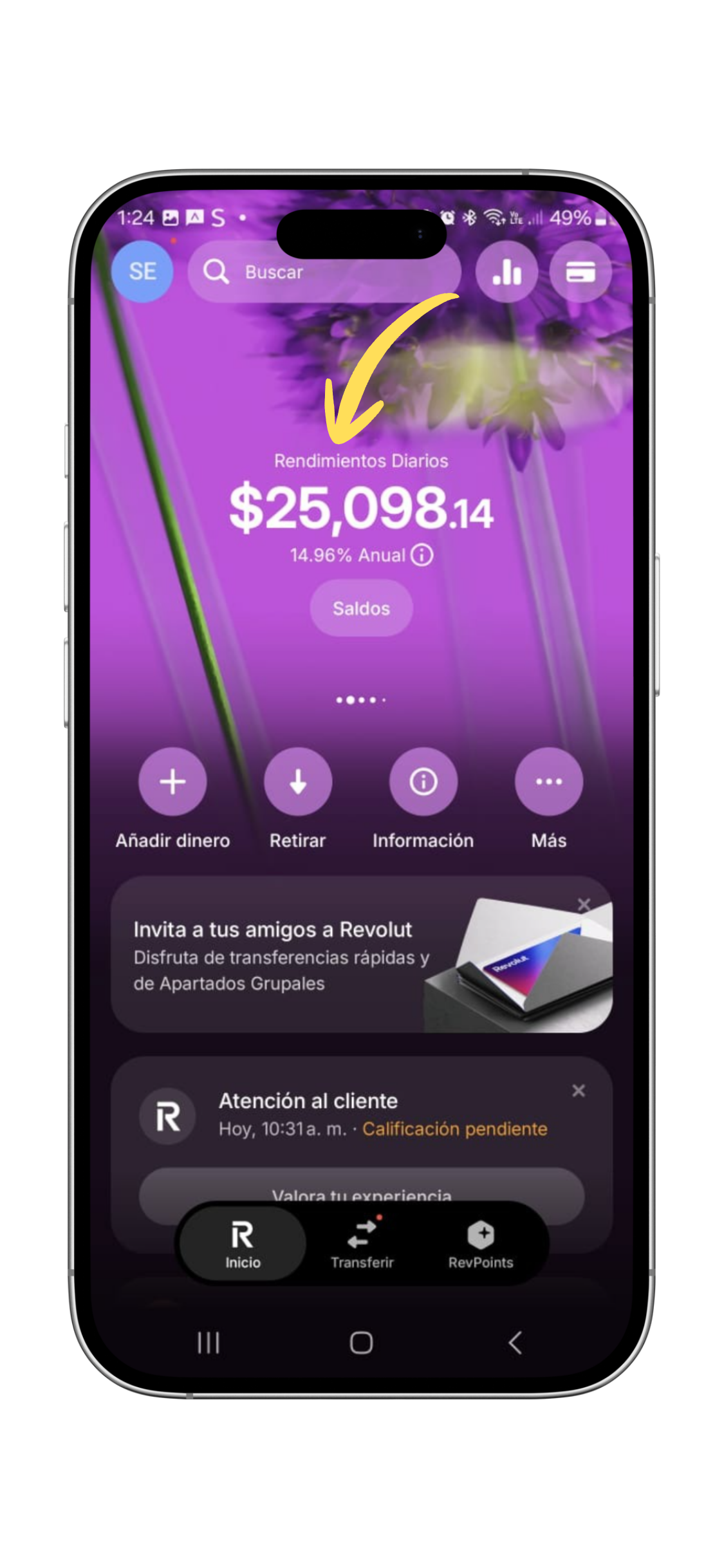 rendimientos diarios revolut